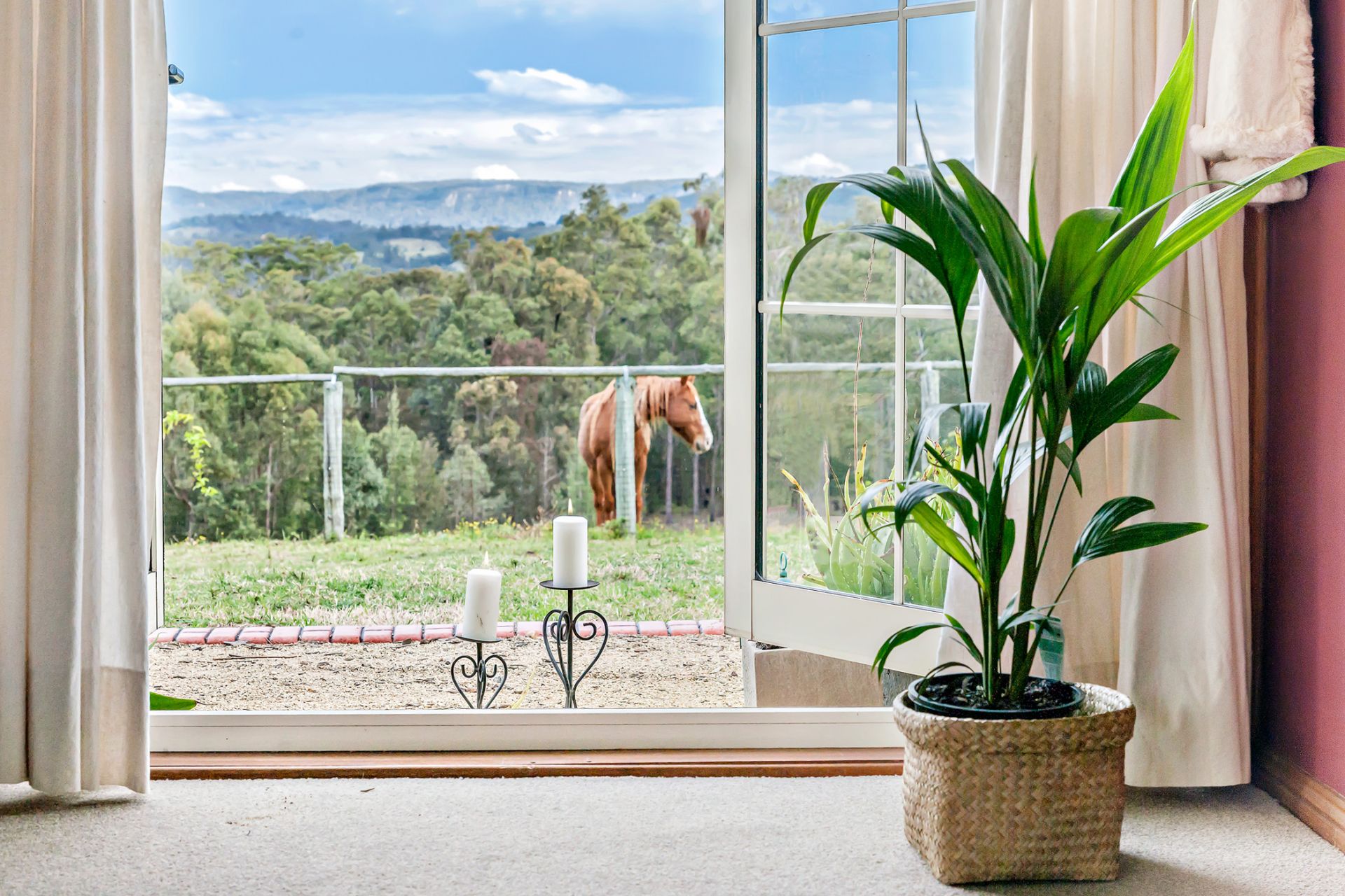 Real Estate For Sale 520 Leggetts Drive Richmond Vale , NSW