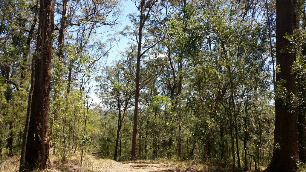 , YARROWITCH NSW 2354
