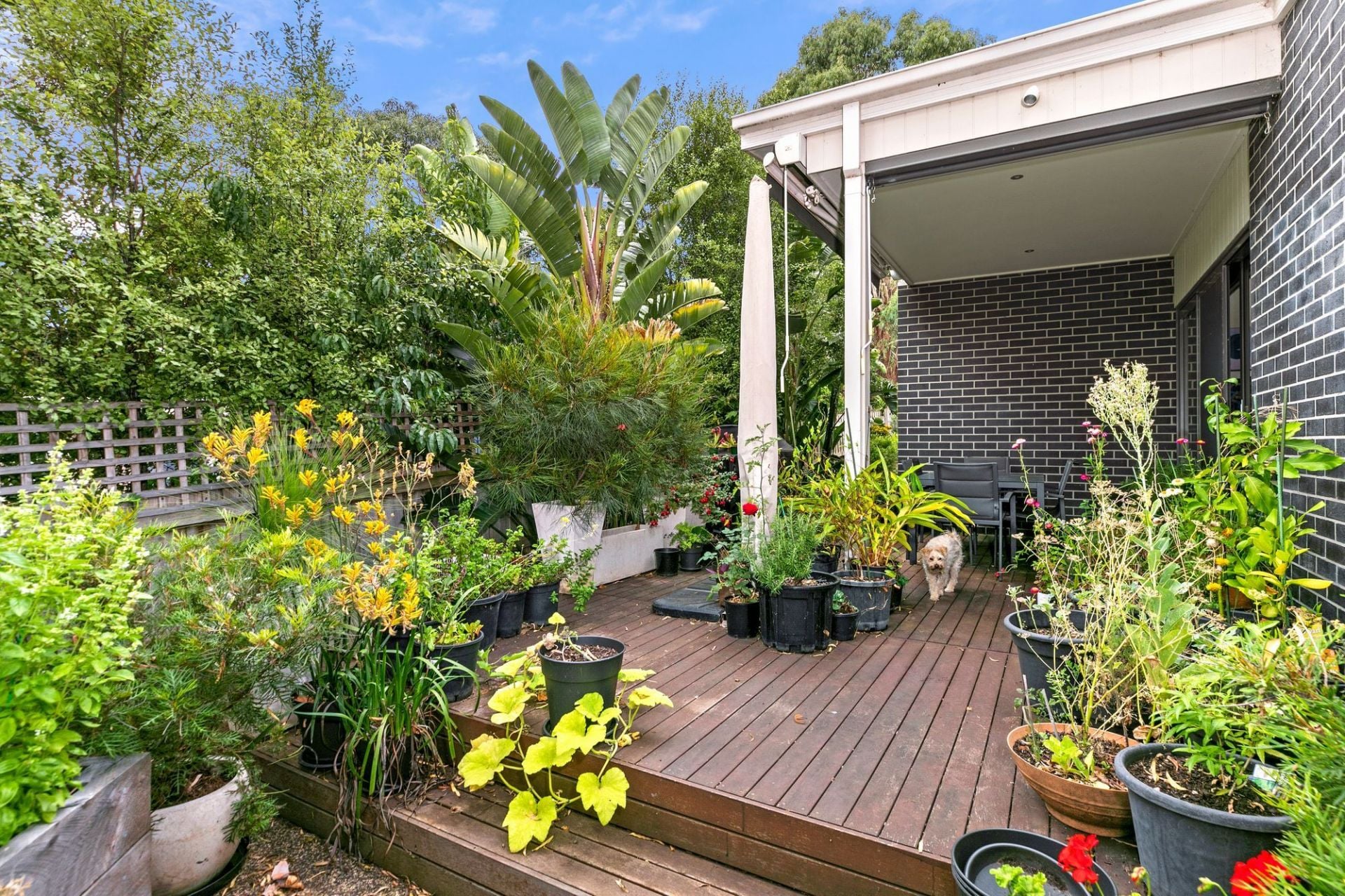 2/20 Finch Close Ocean Grove VIC, Ocean Grove - Thumbnail 7