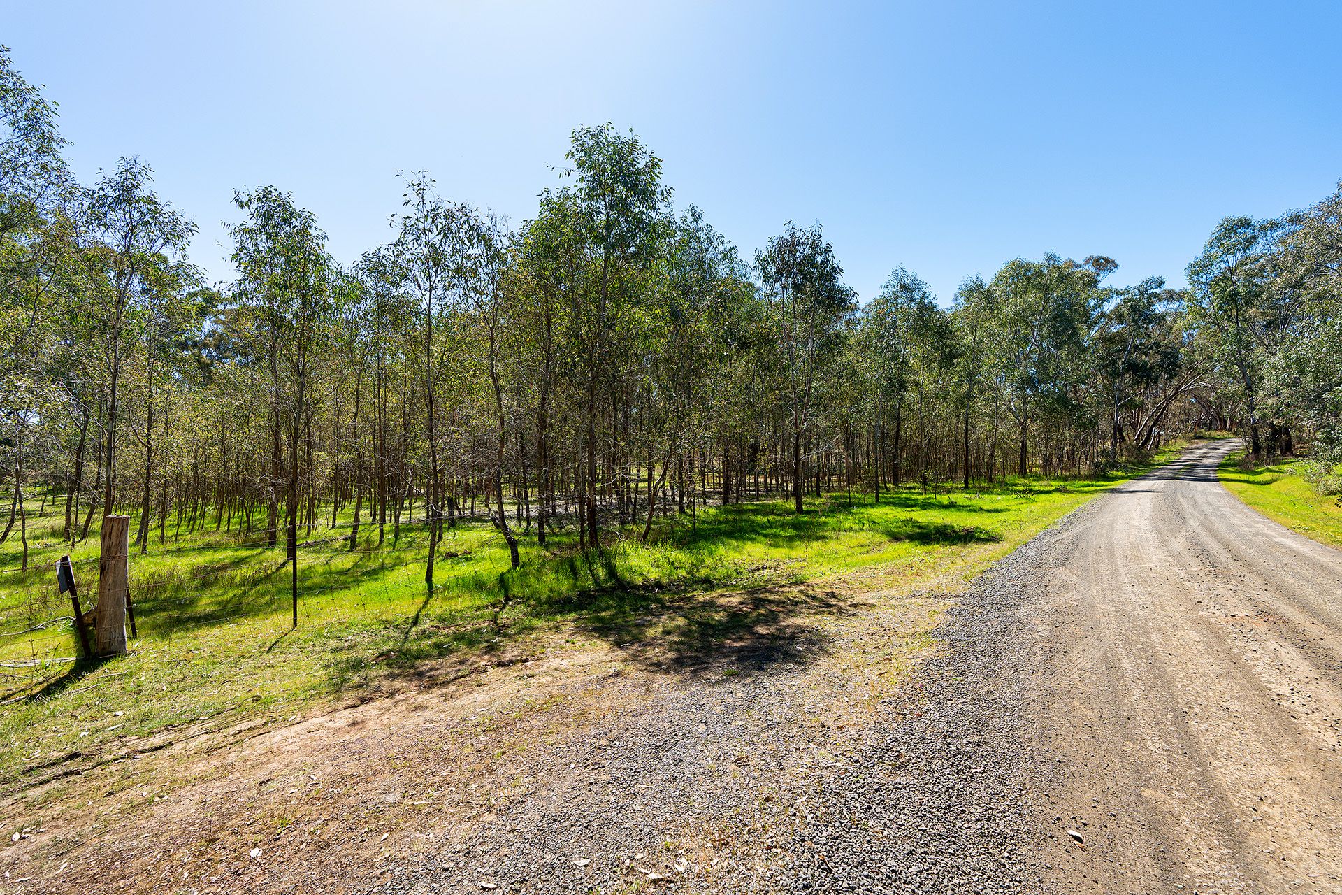 Lot 37E Mt. Camel - Graytown Road Redcastle, Redcastle - Thumbnail 7