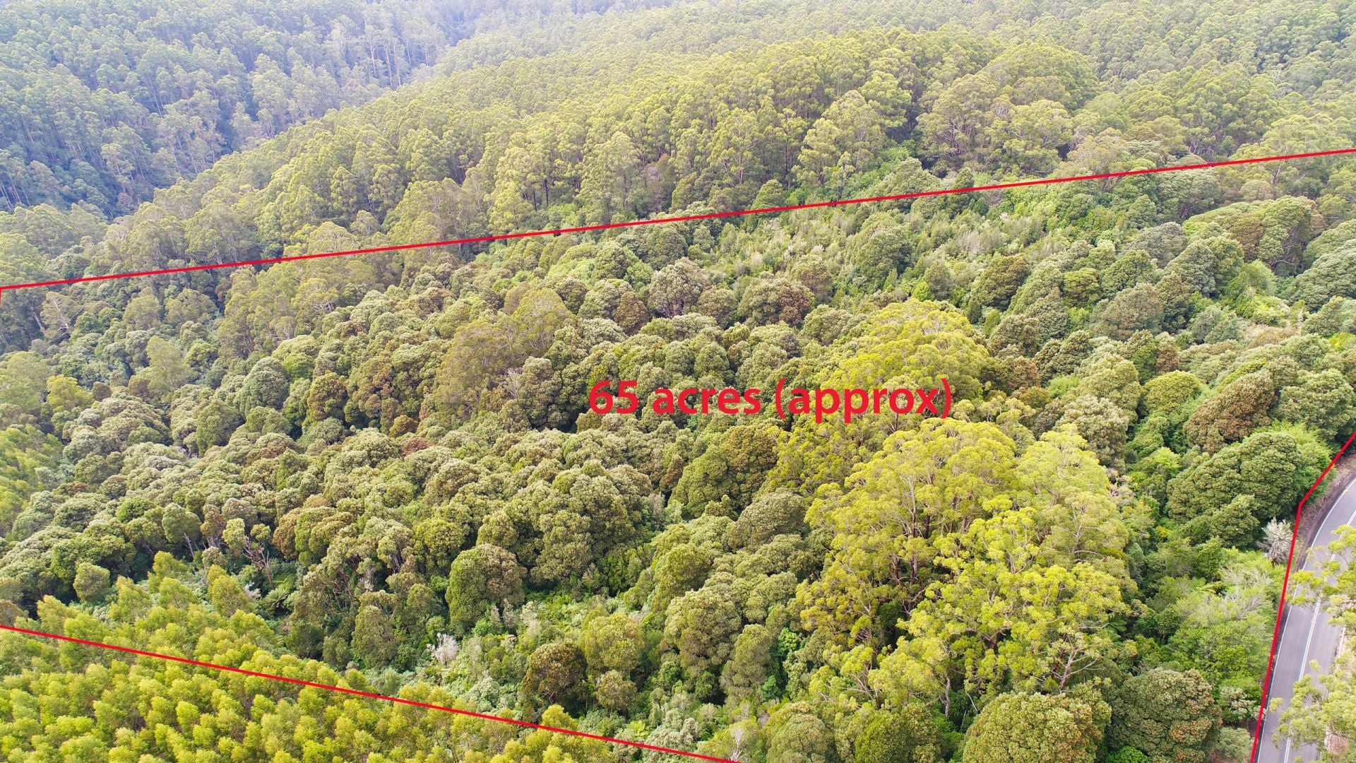 1170 Skenes Creek Road, Tanybryn - Thumbnail 3