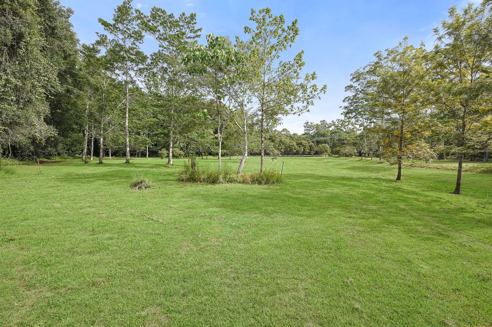 271 Mcgilchrist Road Palmwoods QLD, Palmwoods - Thumbnail 4