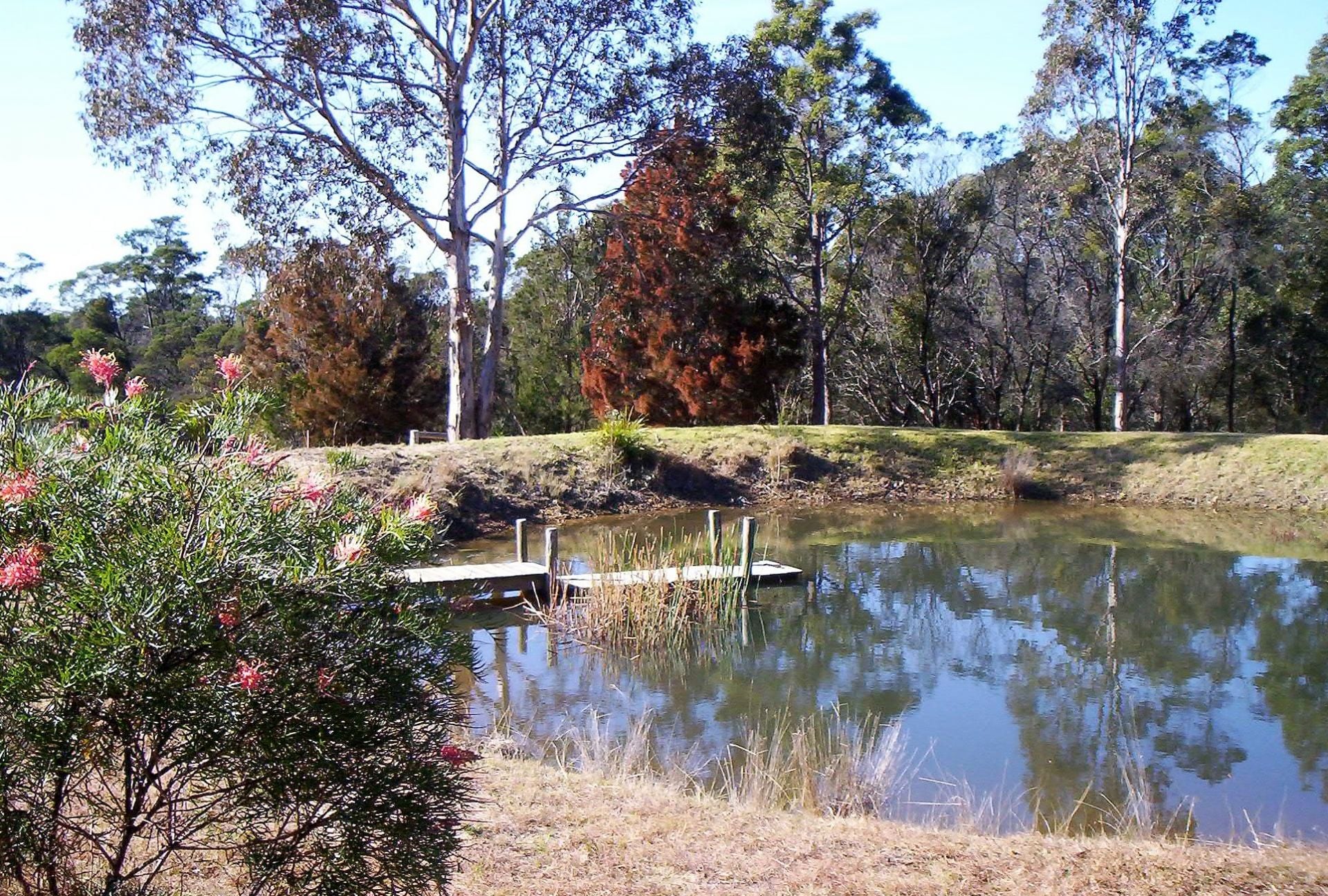 1576 Tathra Bermagui Road Tanja NSW, Tanja - Thumbnail 4