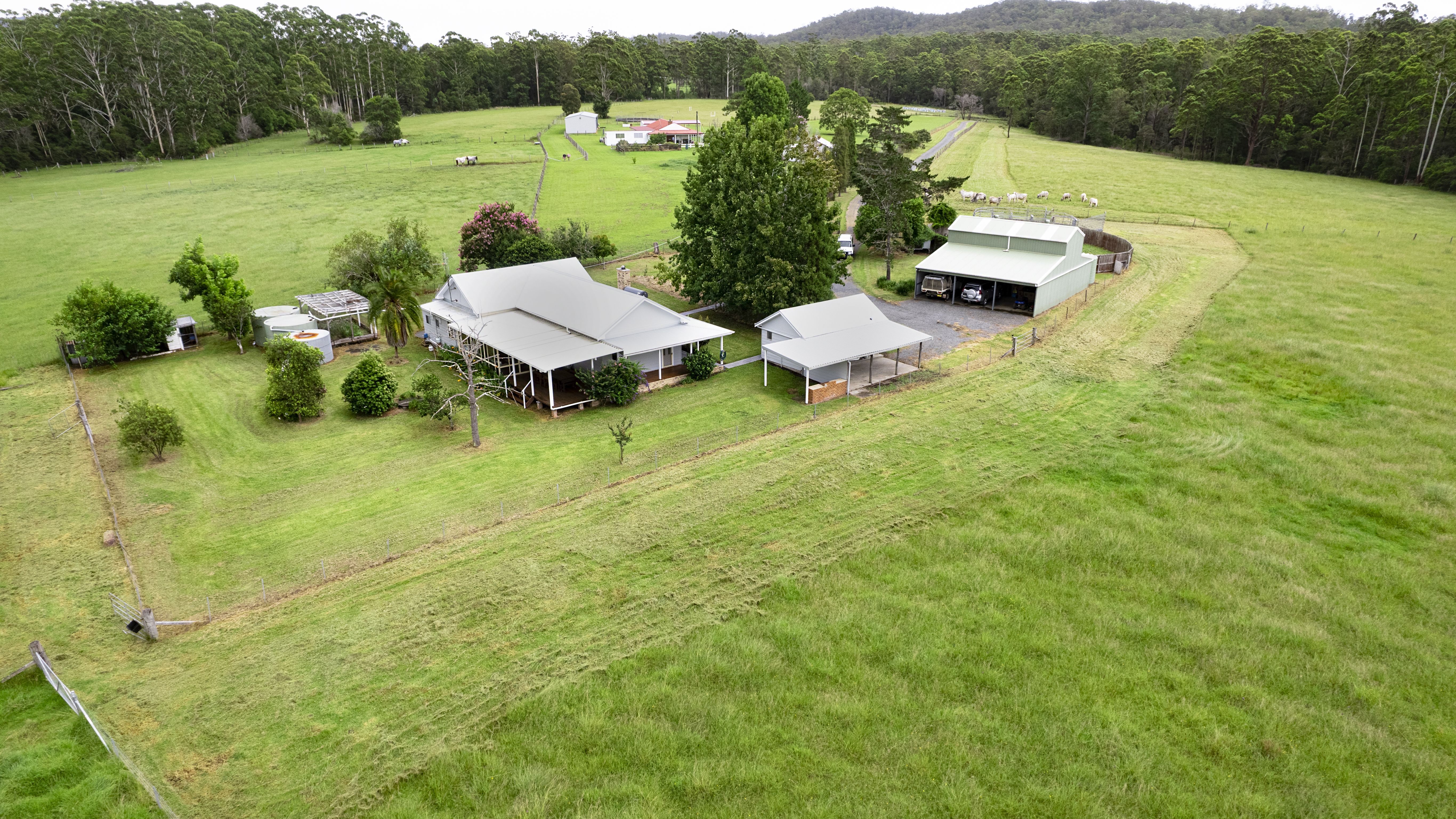 51 Horse Lane, KUNDABUNG NSW 2441