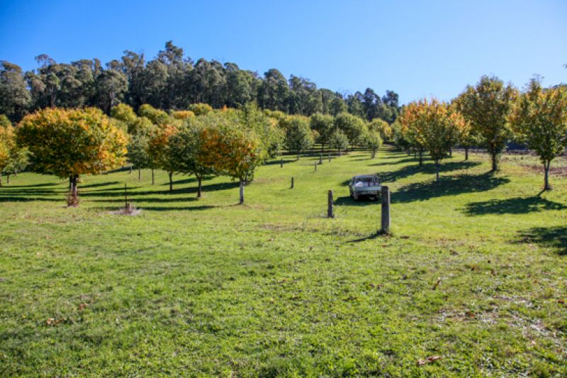 240 Simmonds Creek Road Tawonga South VIC, Tawonga South - Thumbnail 2