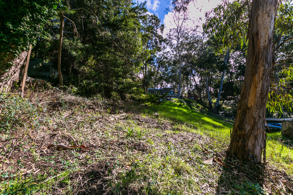 2 Ferny Grove, Kennett River, VIC, Kennett River - Thumbnail 4