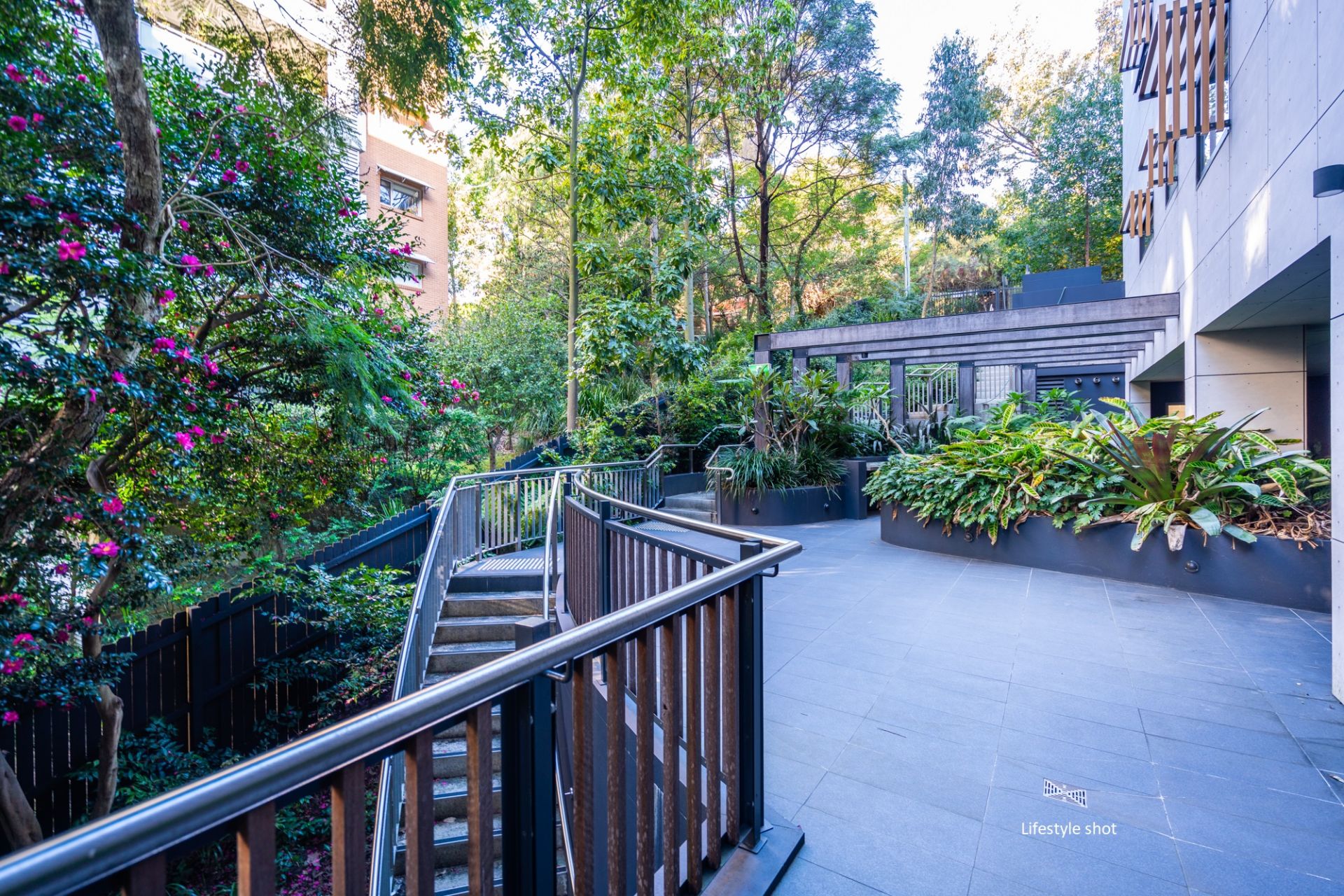 205/18 Freeman Road, Chatswood Plus Agency