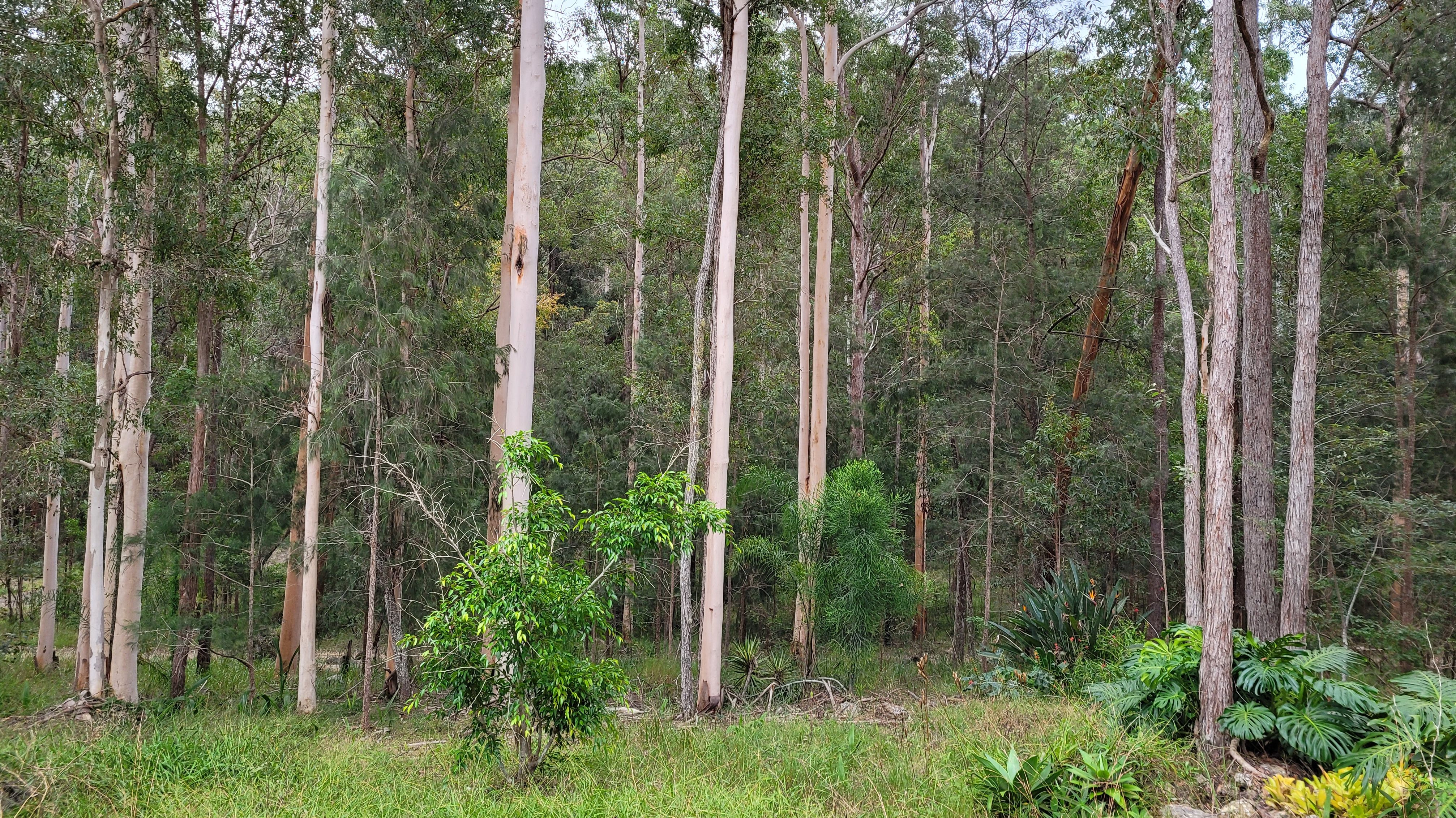 46 Hidden Valley Road, TELEGRAPH POINT NSW 2441