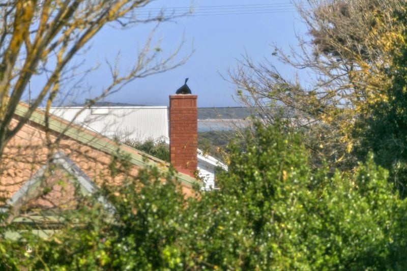 30 Powell Street West Ocean Grove VIC, Ocean Grove - Thumbnail 7