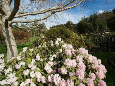 3
 
 
 
  
 
 
 2
 
 
 
  
 
 
 4
 
 
 
 
 
 
 
 31 Wrenswood Drive, QUOIBA TAS 7310, Quoiba - Image 1