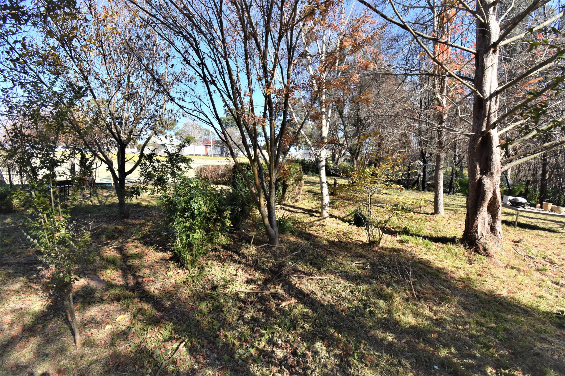 8 Moruya Street QUAAMA NSW, Quaama - Thumbnail 2