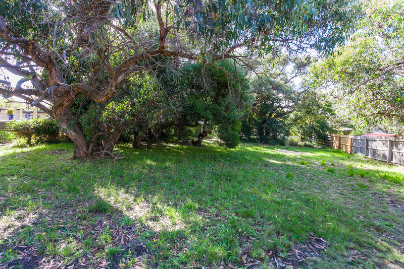 22  George Street, Anglesea, VIC, Anglesea - Thumbnail 3