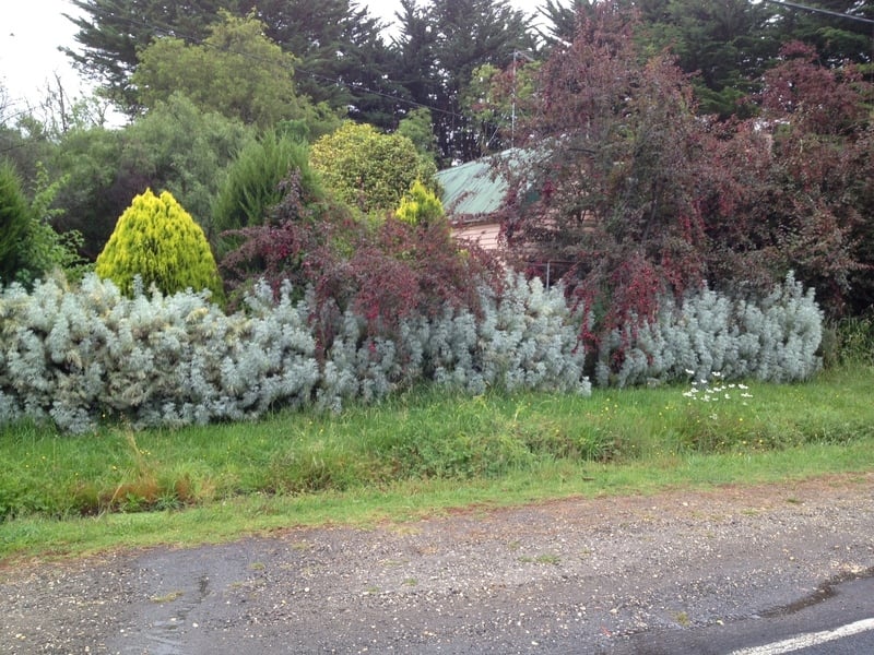 2250 Winchelsea-Deans Marsh Road, Deans Marsh, VIC, Deans Marsh - Image 1