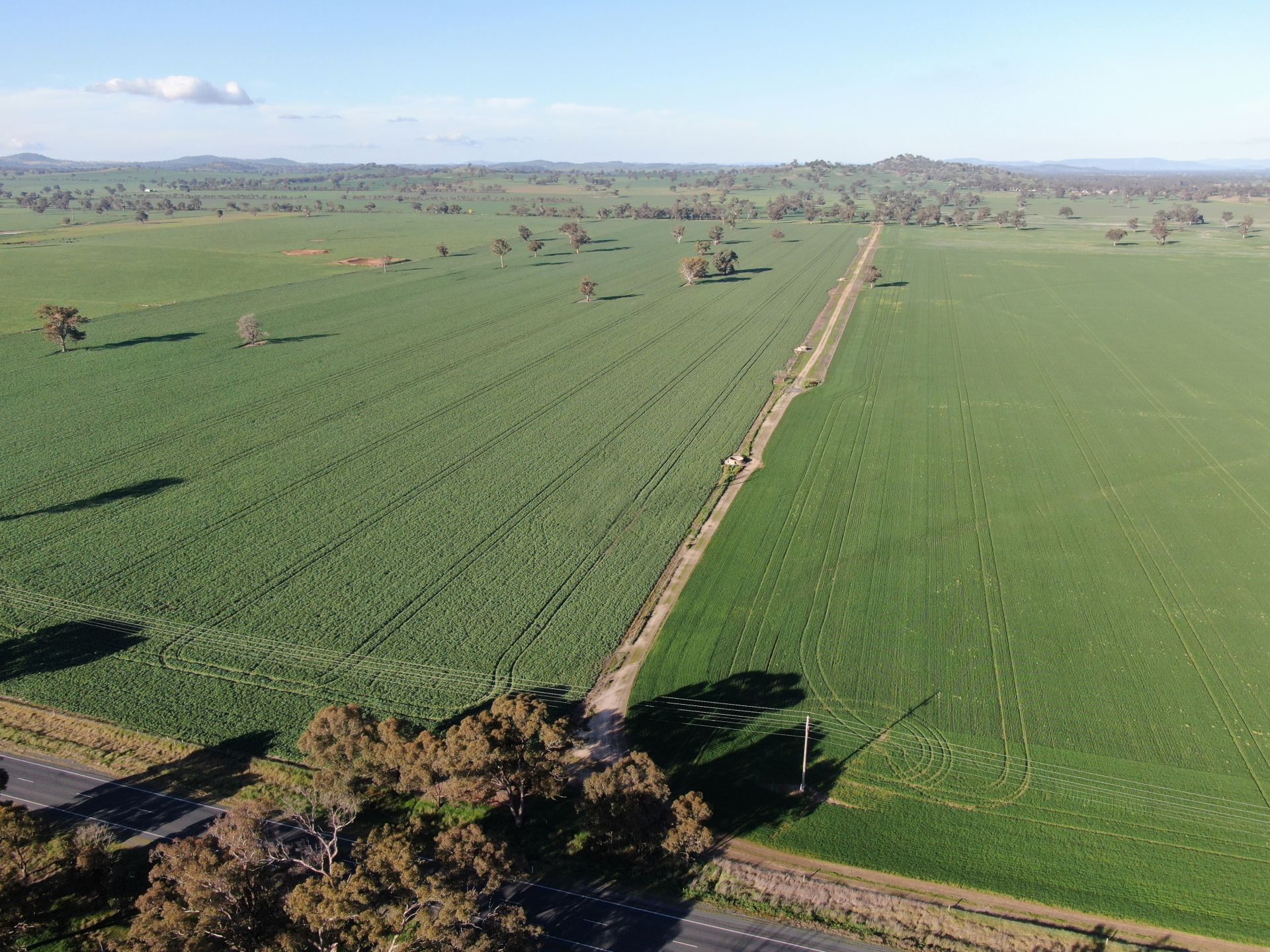 Olympic Highway, Culcairn Inglis Rural Property