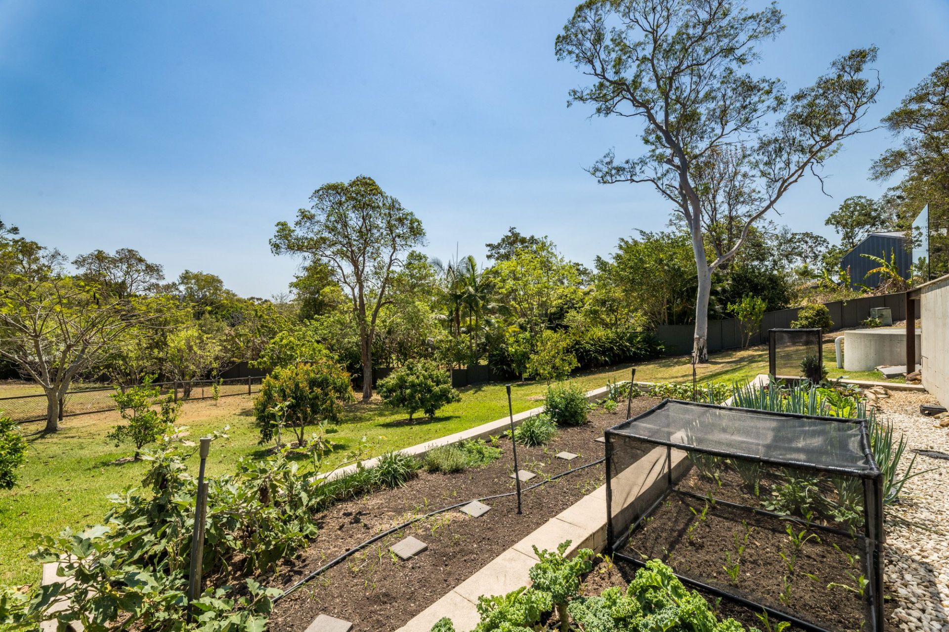 $ 2,500,000, Mudgeeraba - Thumbnail 8