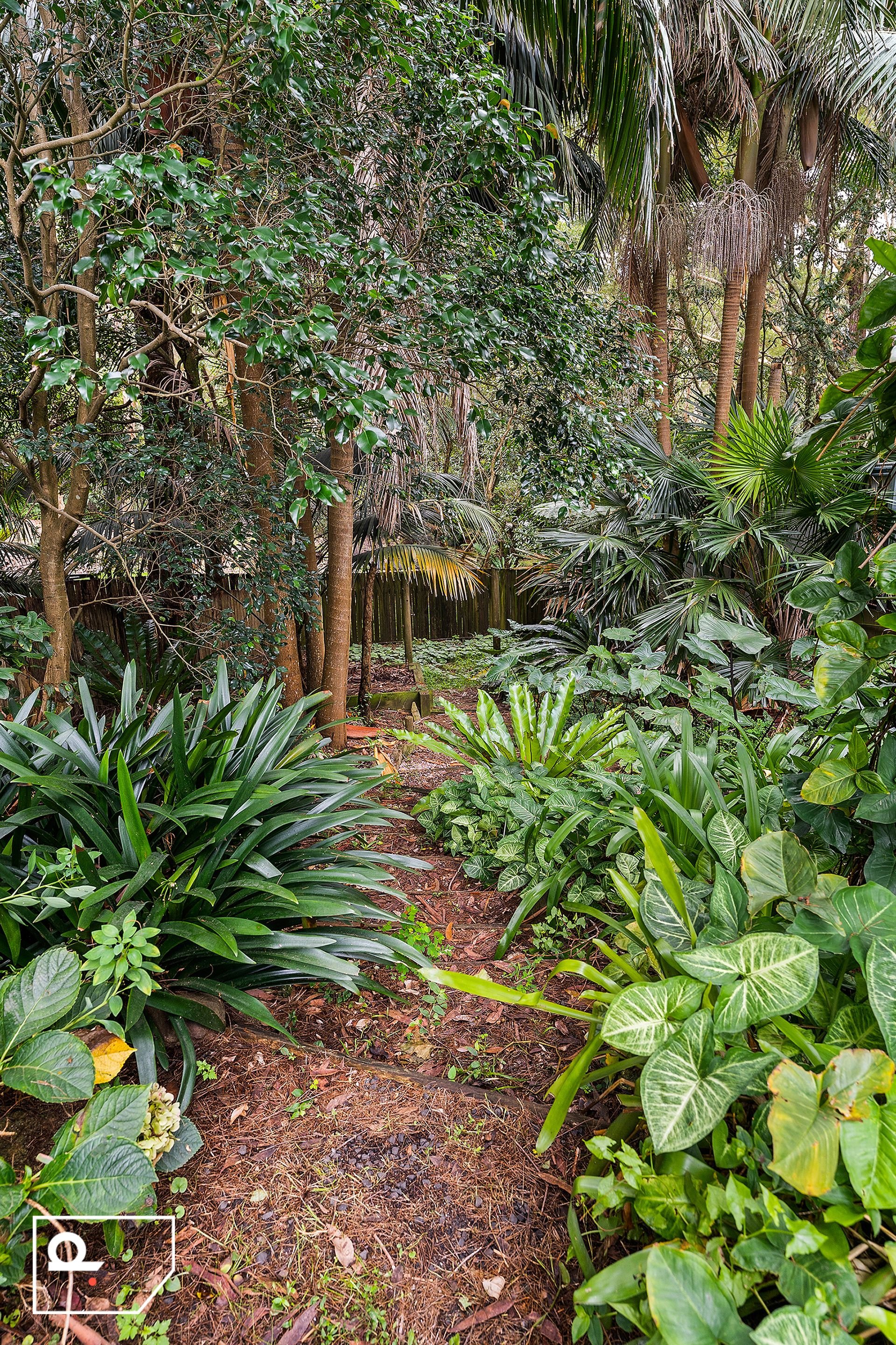 38 Buttenshaw Place, Austinmer NSW