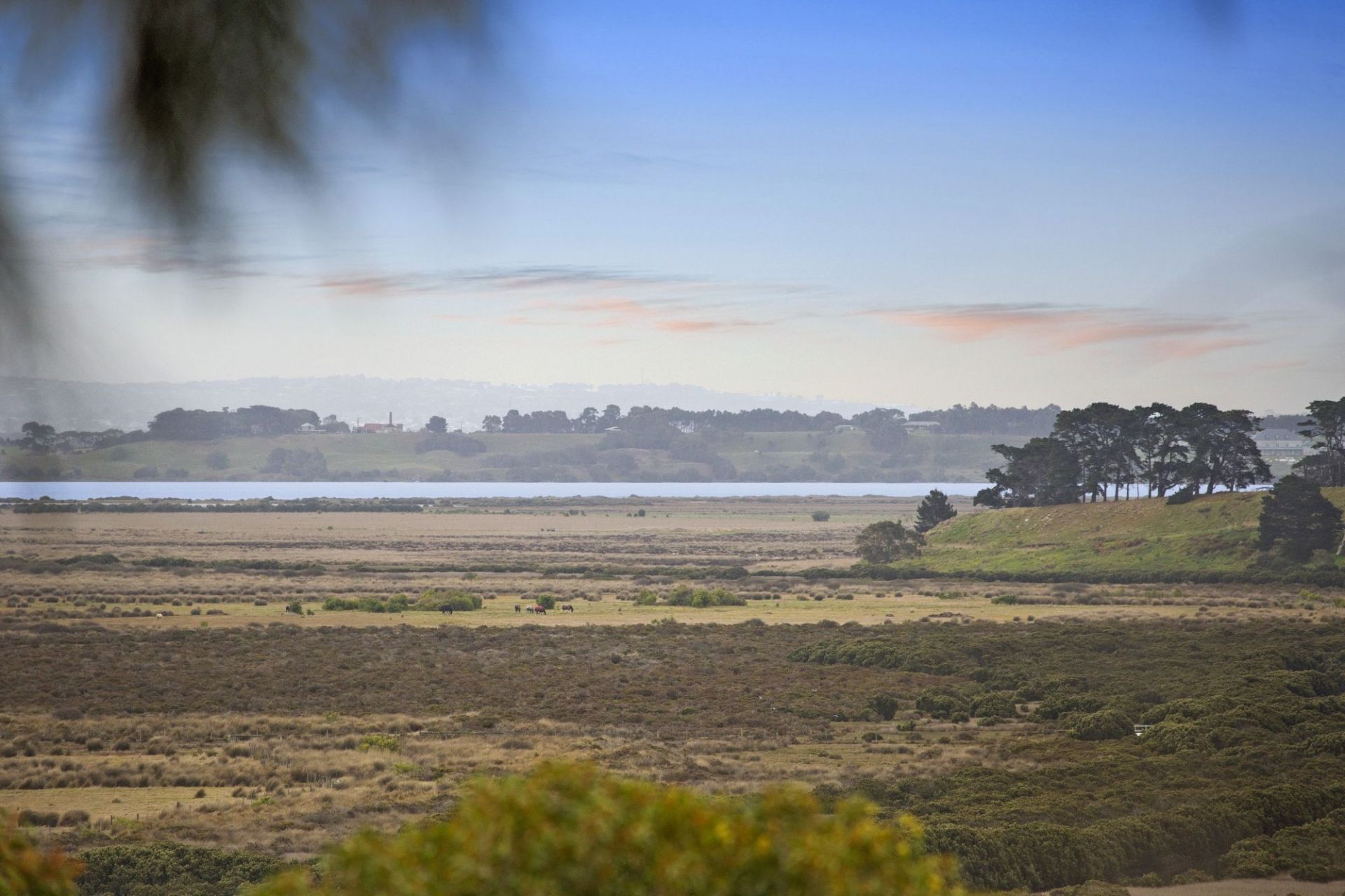 42-44 Normandy Crescent Ocean Grove VIC, Ocean Grove - Thumbnail 8