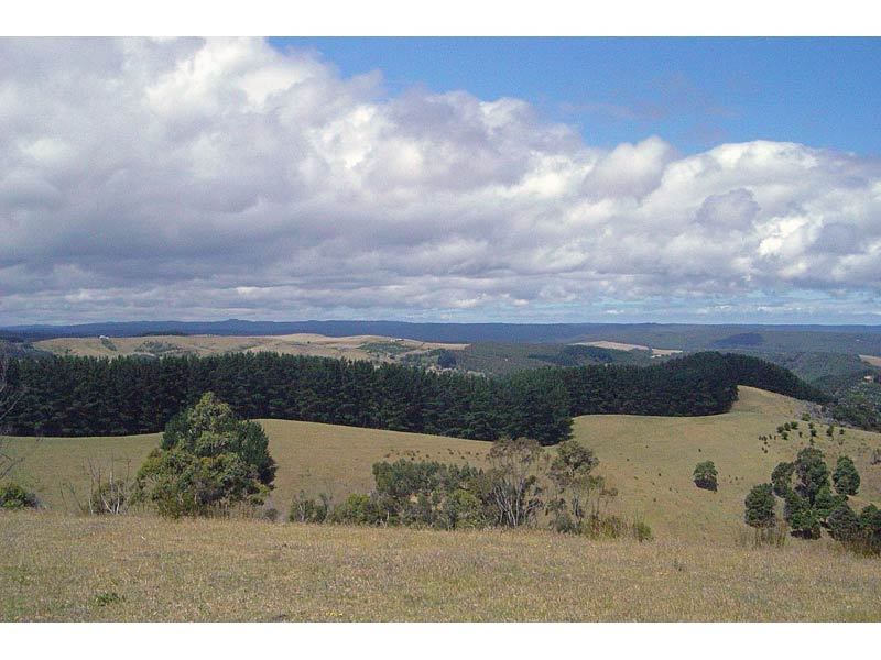 55 Old Coach Road (Yuulong) APOLLO BAY VIC, Apollo Bay - Thumbnail 2