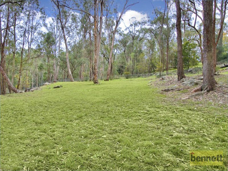 128 Golden Valley Drive, Glossodia - Thumbnail 8