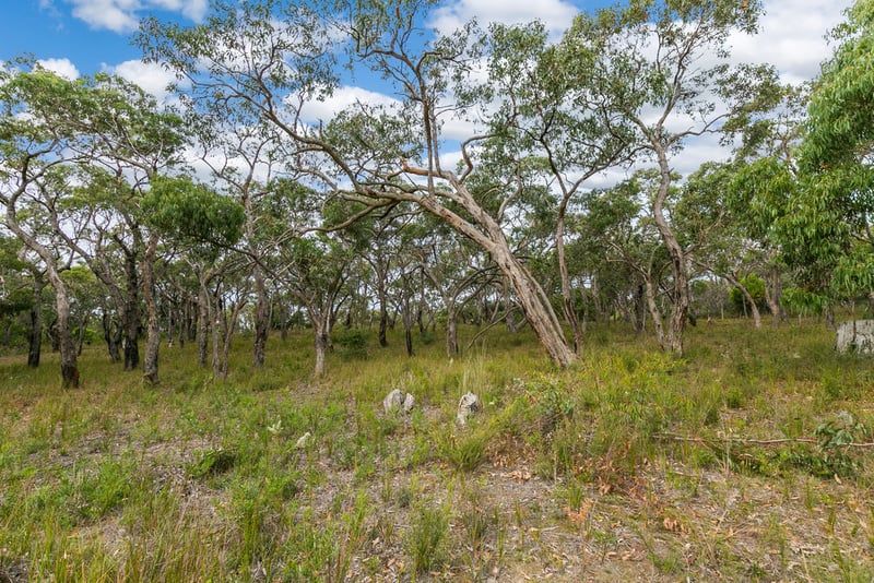335  Elkington Road, Bellbrae, VIC, Bellbrae - Thumbnail 7