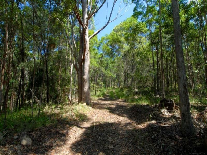 1 Francis Road BLI BLI QLD, Bli Bli - Thumbnail 7