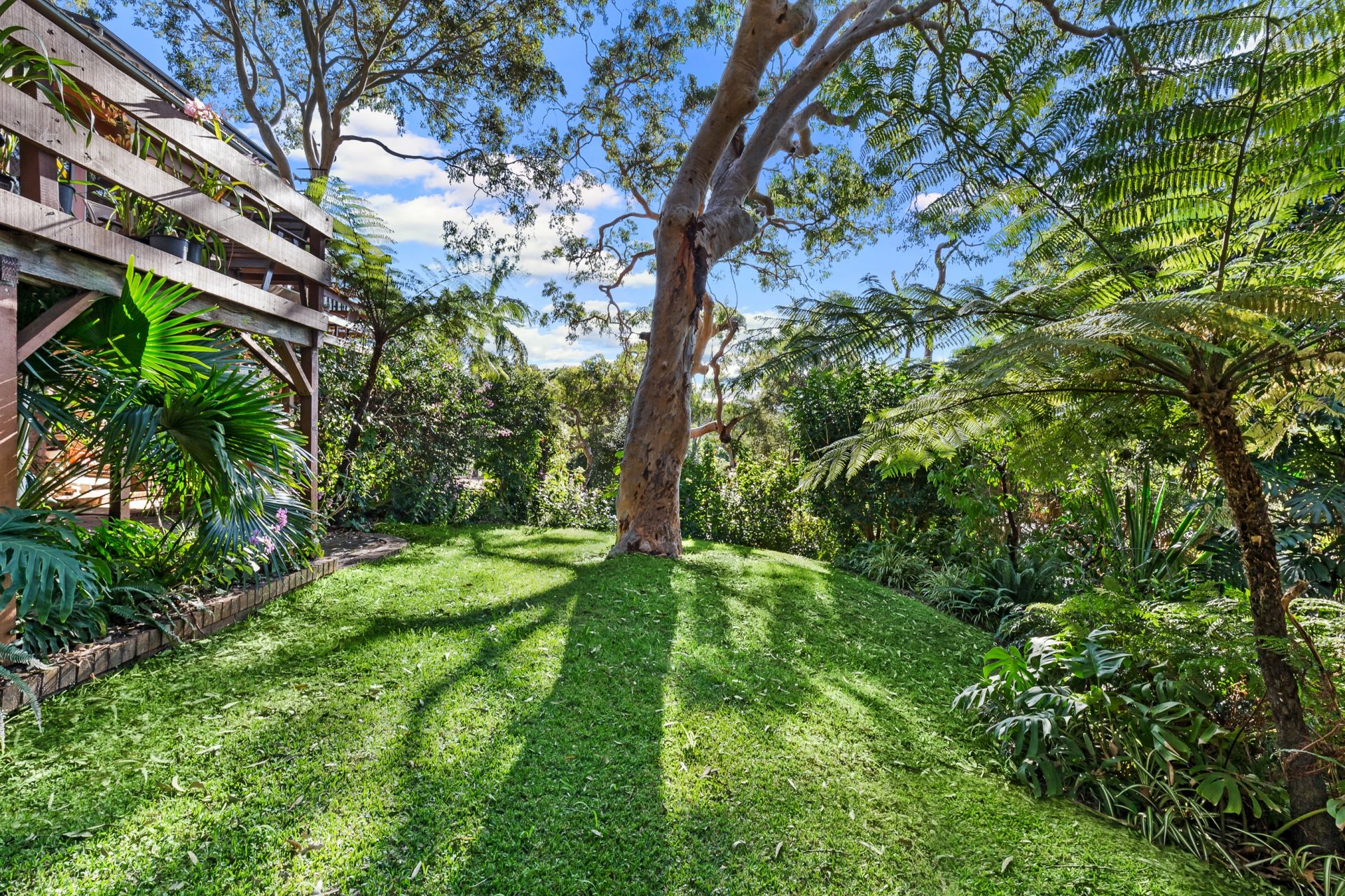 26 Palmgrove Road Avalon NSW, Avalon - Thumbnail 7