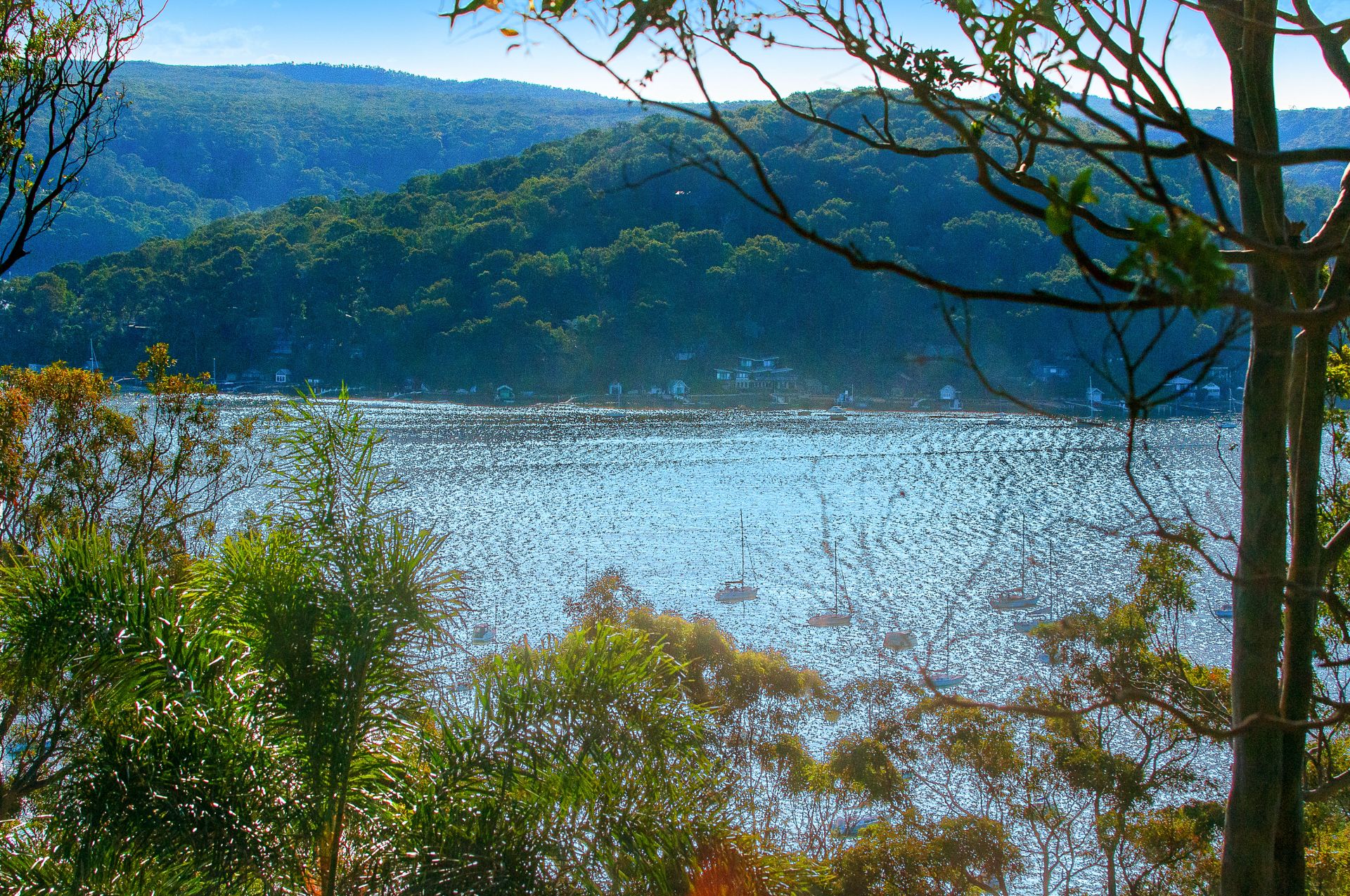 17 Loombah Street Newport NSW 2106, Newport - Thumbnail 4