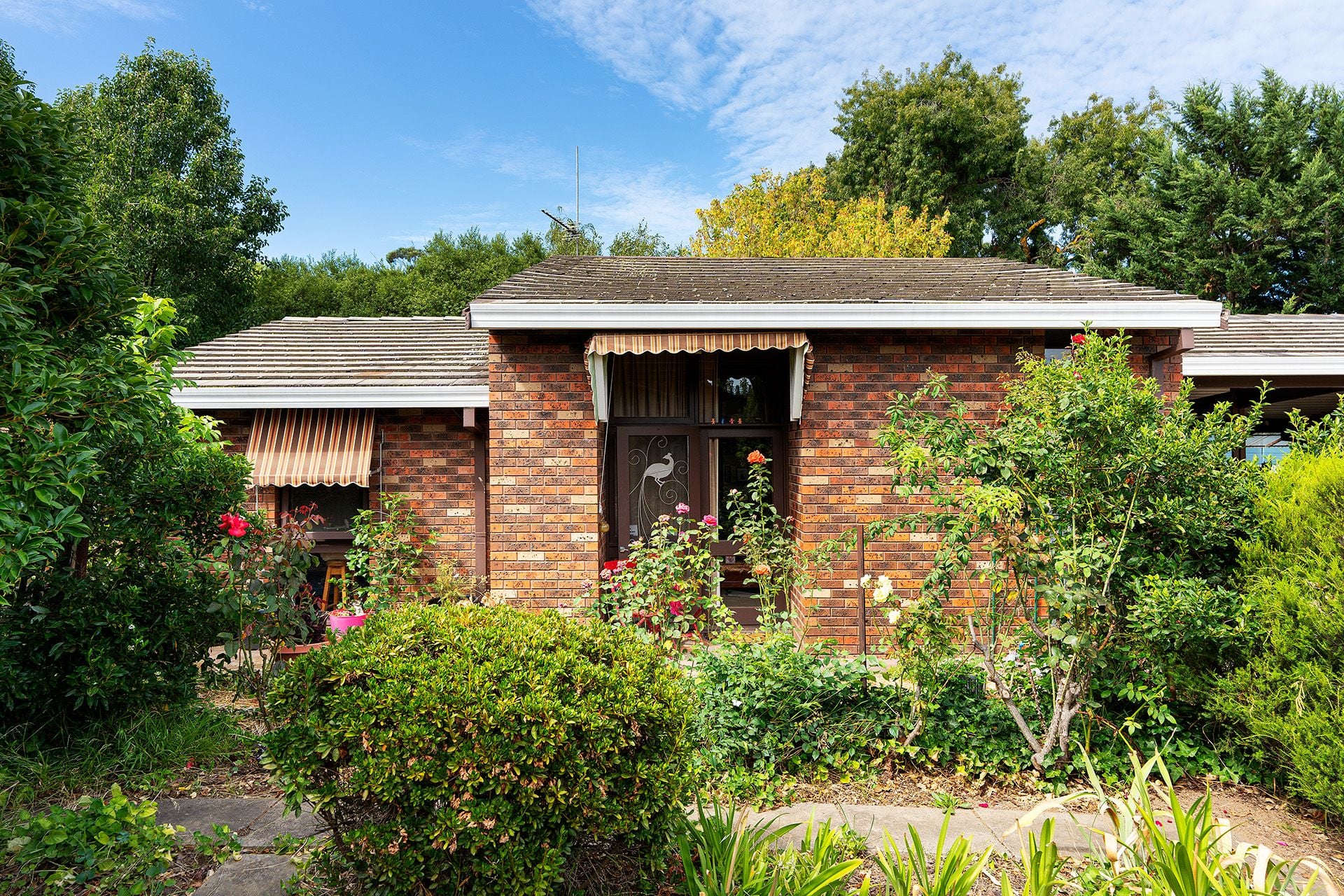 4/8 Halford Street, Castlemaine - Thumbnail 2