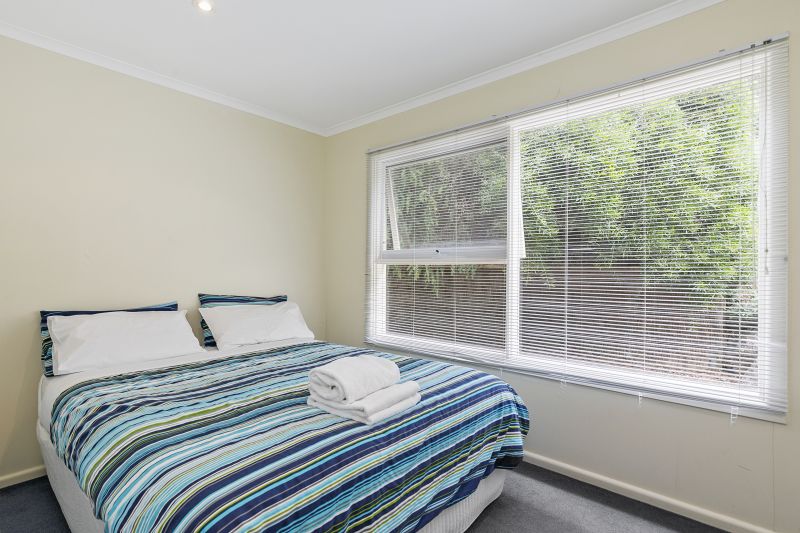 23 Belvedere Terrace, Lorne, VIC, Lorne - Thumbnail 8