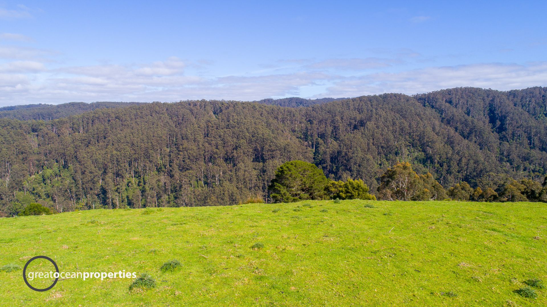 788 Wild Dog Road, Apollo Bay - Thumbnail 5