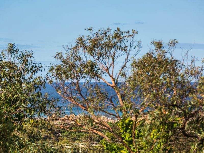 78 Fifth Avenue, Anglesea - Thumbnail 7