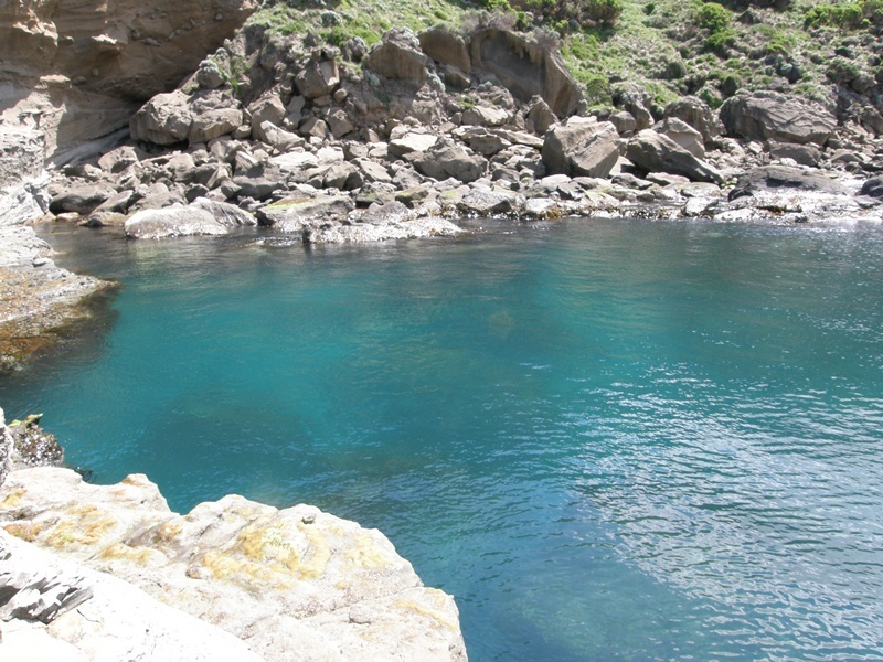 119 Knowledge Track (Yuulong), Apollo Bay, VIC, Apollo Bay - Thumbnail 7