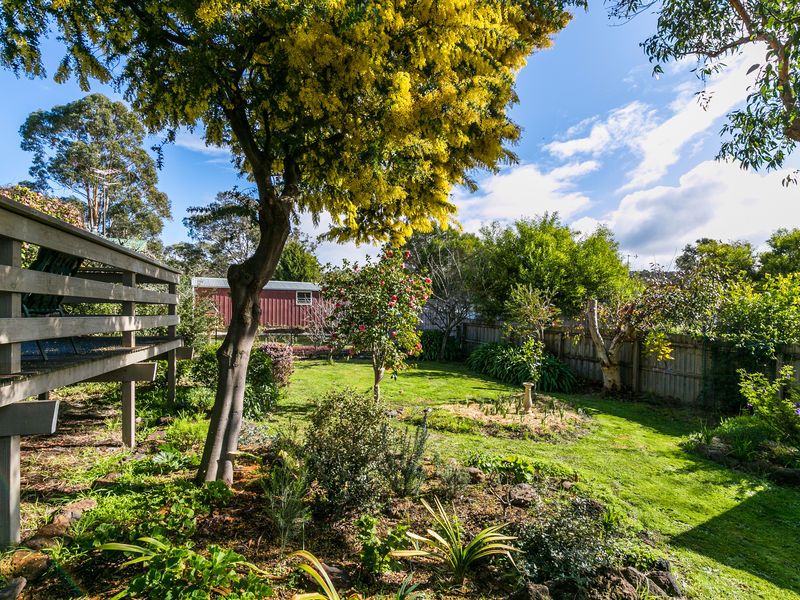 5 Birdie Avenue, Anglesea - Thumbnail 5
