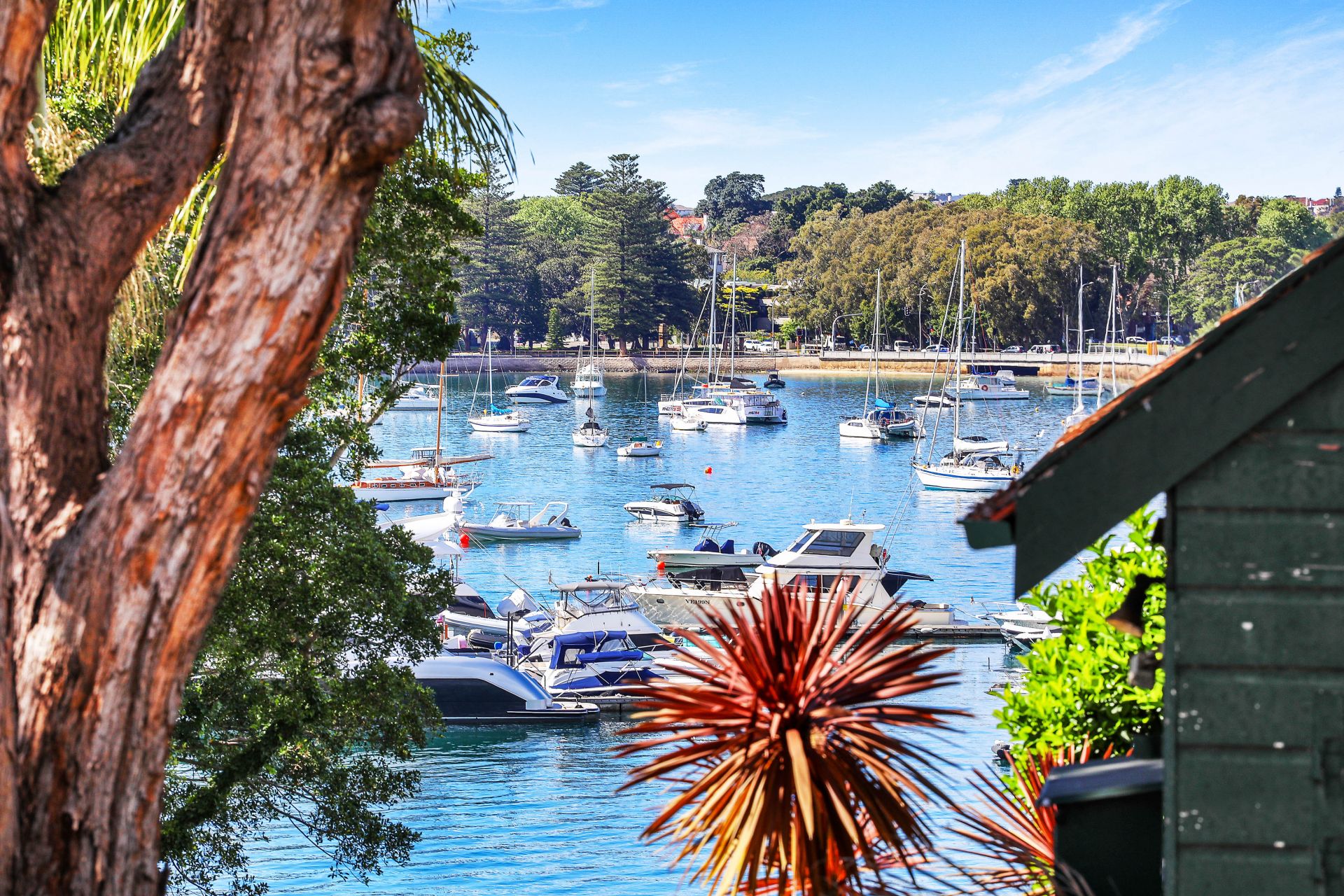 1/38 Wunulla Road, Point Piper, Point Piper - Thumbnail 6