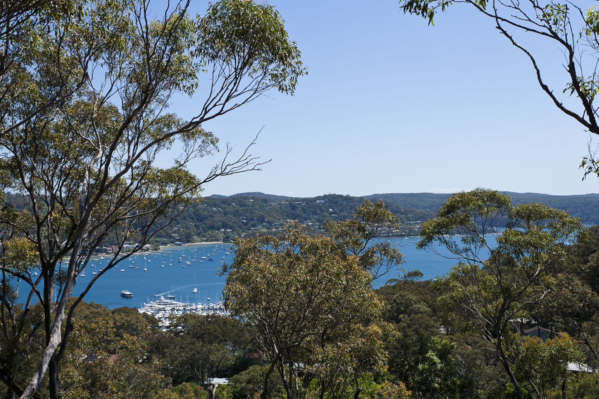 75 Cheryl Crescent Newport NSW, Newport - Thumbnail 6