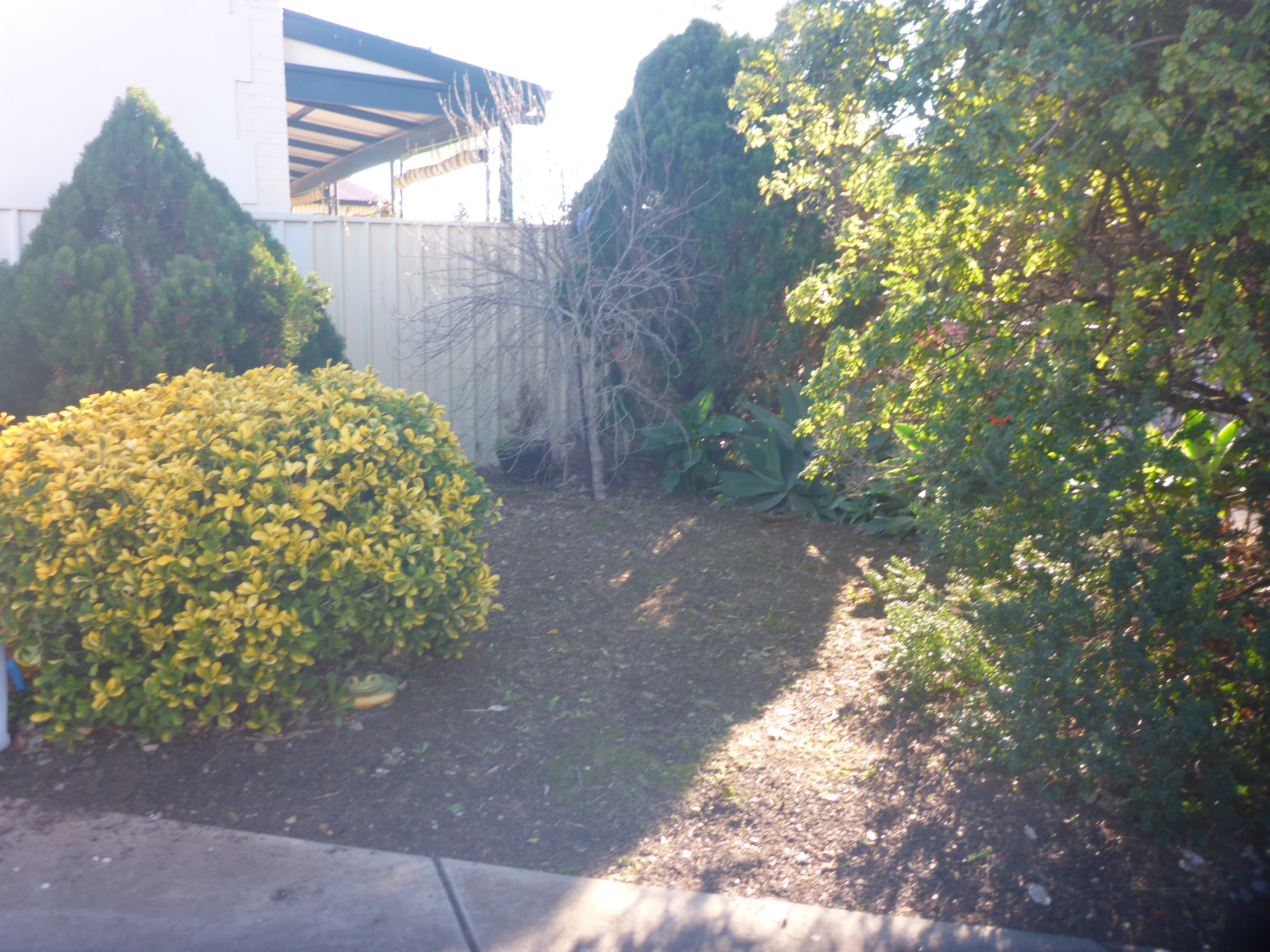 4/34 Margaret Terrace Rosewater 5013