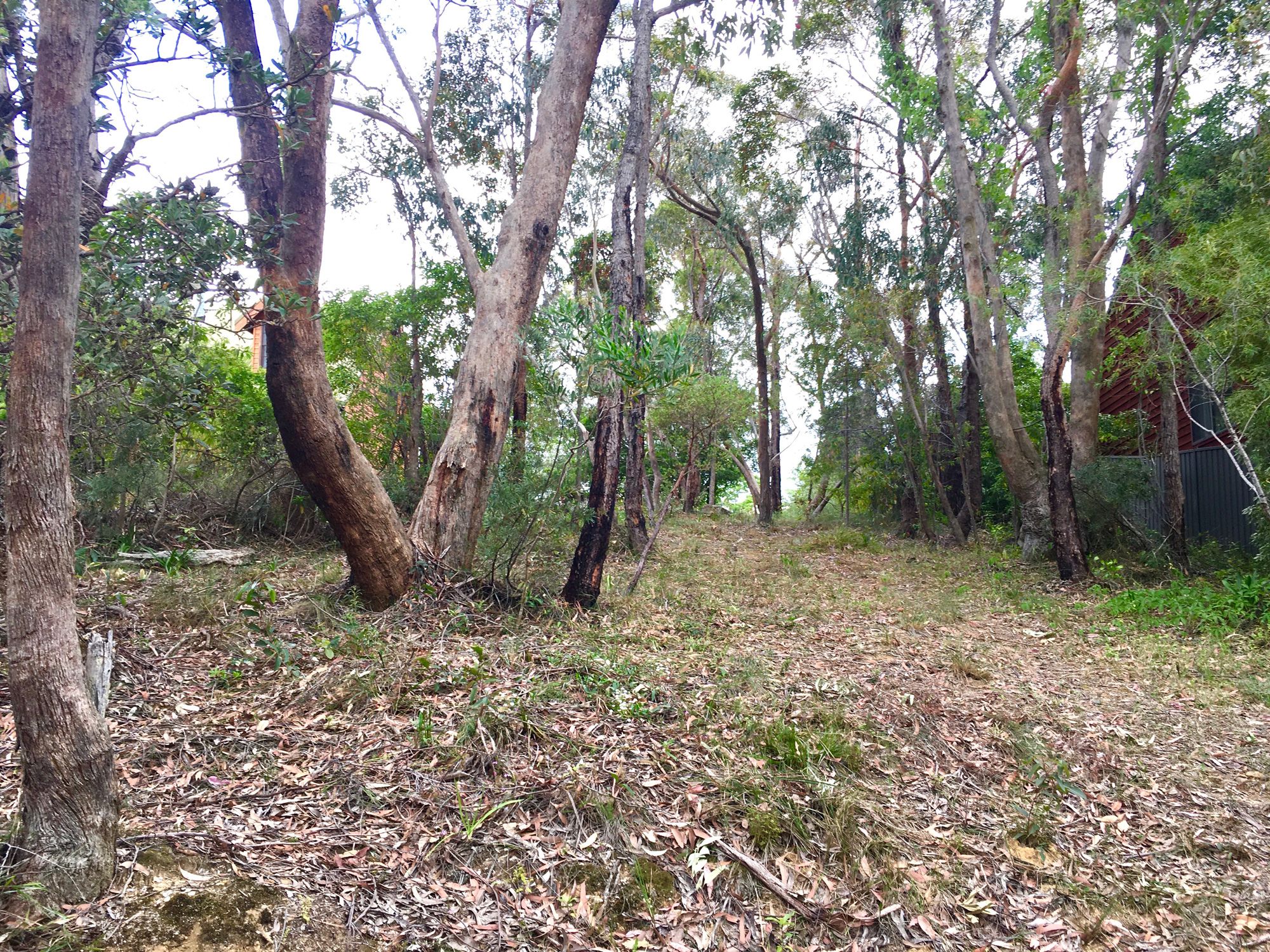 58 Henry Street Lawson 2783