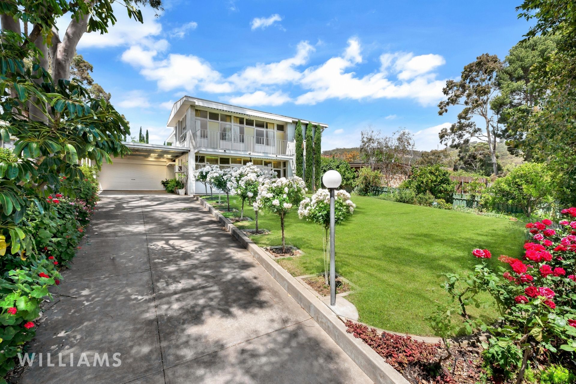 16 Street, Torrens Park Williams Real Estate