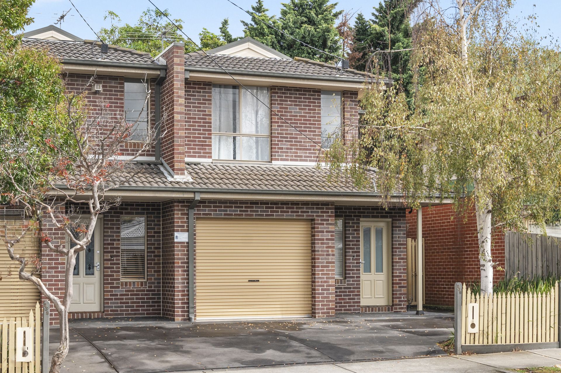 RENOVATED DELIGHT