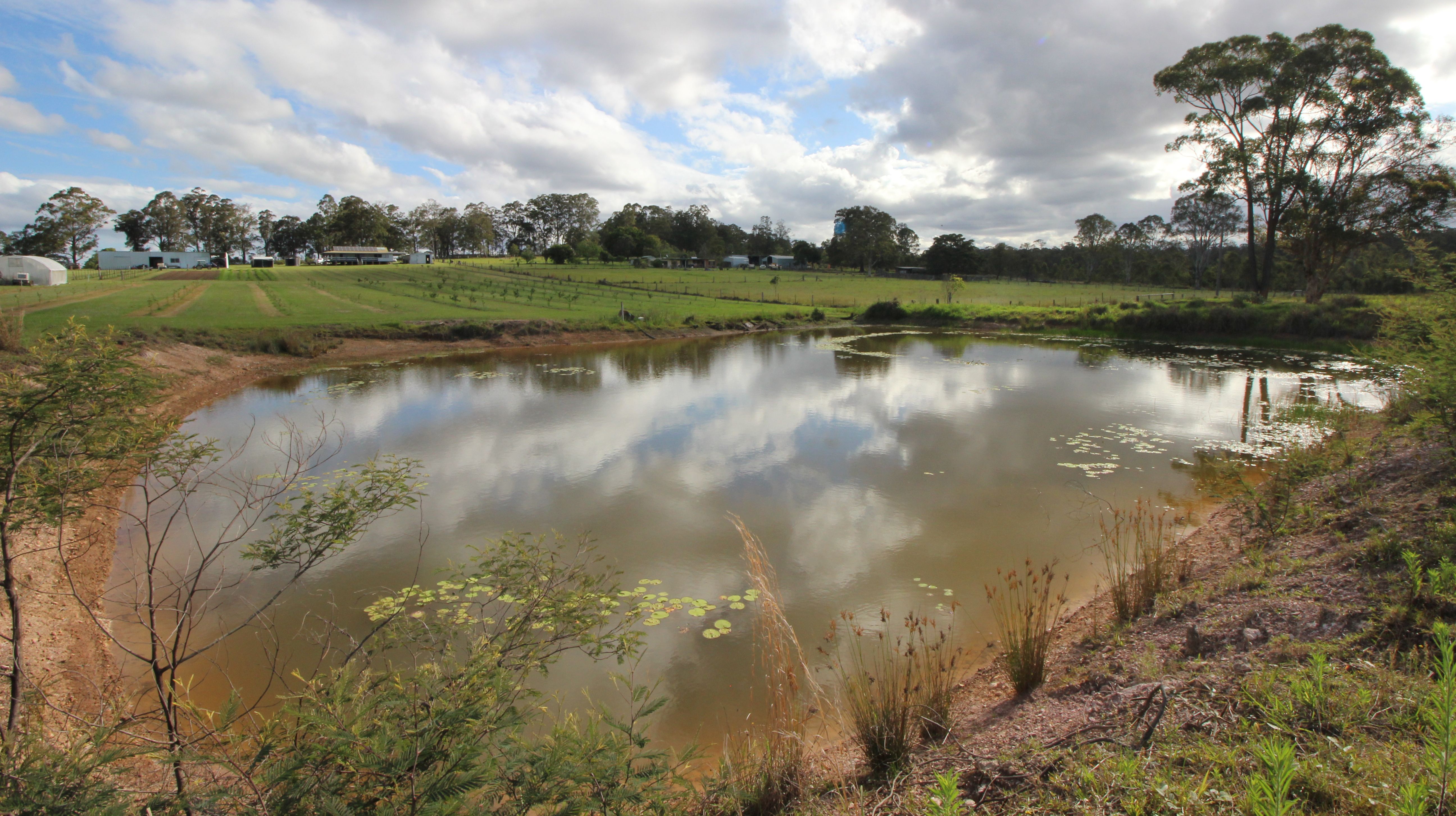 1252 Collombatti Rd, COLLOMBATTI NSW 2440