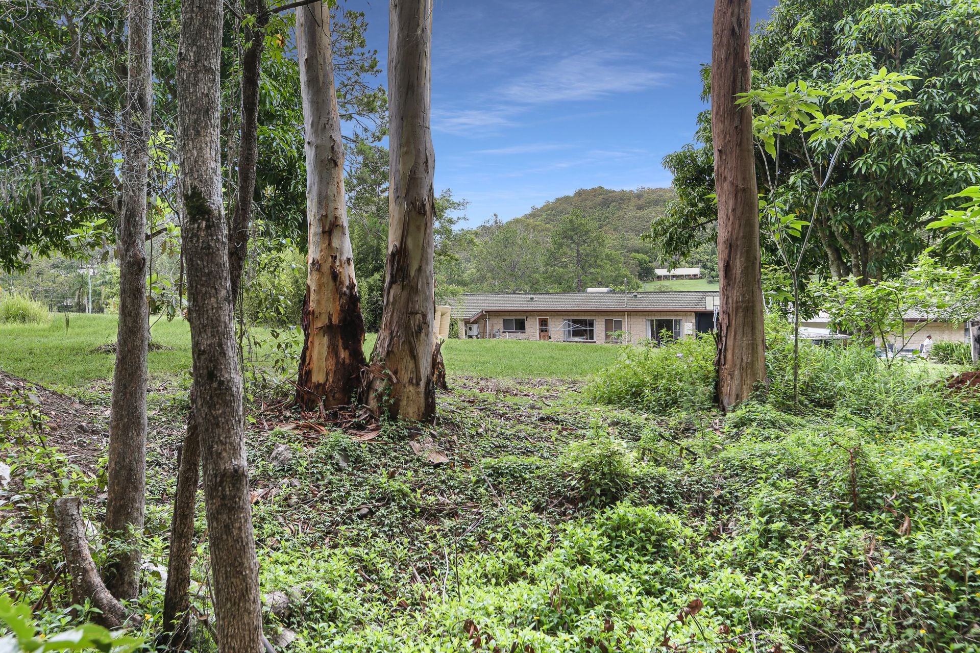 148 Wappa Falls Road Yandina QLD, Yandina - Thumbnail 5