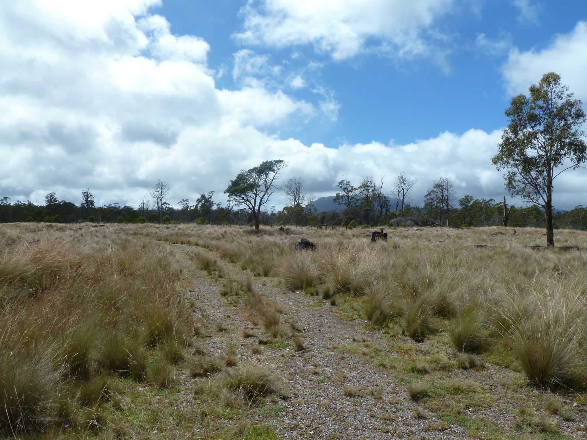 560 Gads Hill Road LIENA, Liena - Thumbnail 7