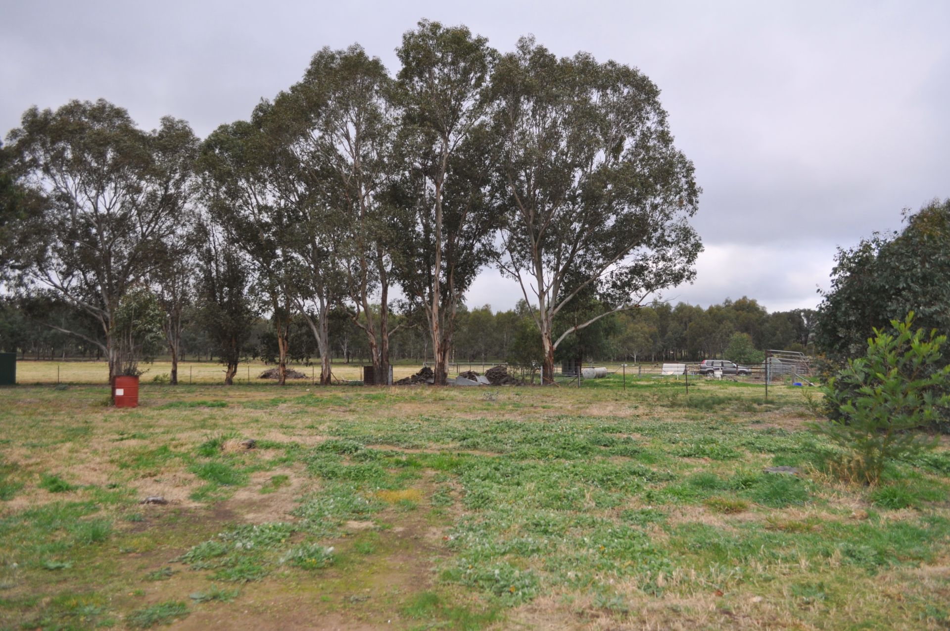67 Pinkstone Avenue, Cootamundra NSW, Cootamundra - Thumbnail 3
