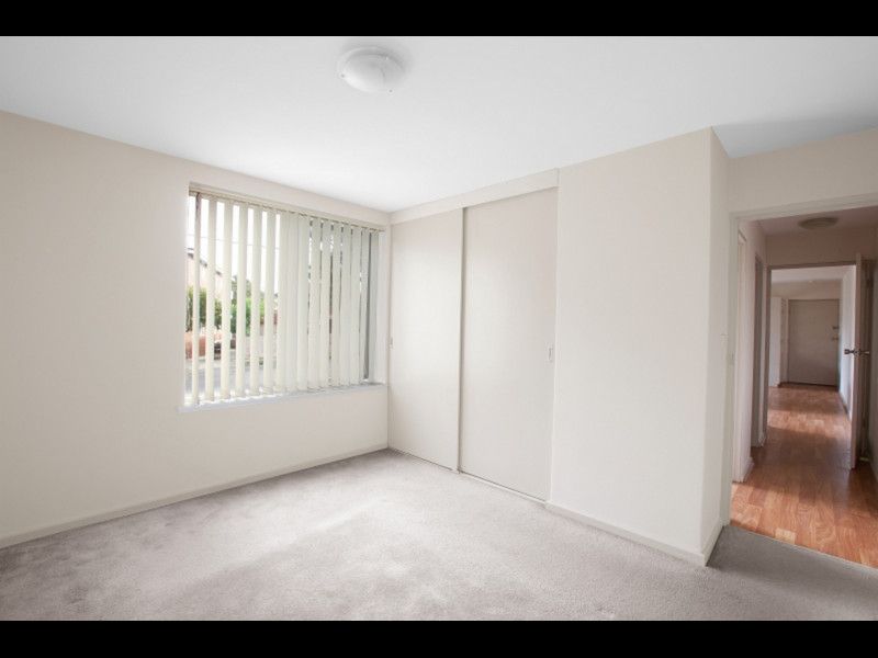 3A/41 Evansdale Road, Hawthorn - Thumbnail 5