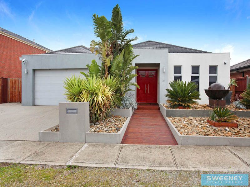 31 Domain Avenue, Burnside Heights - Thumbnail 2