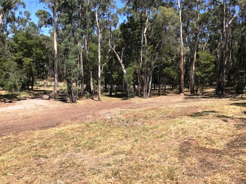 110 Dales Creek Avenue, Dales Creek - Thumbnail 6