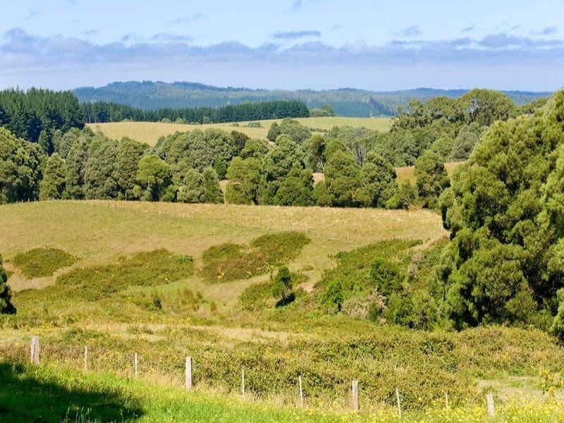 22 Main Road BEECH FOREST VIC, Beech Forest - Thumbnail 5