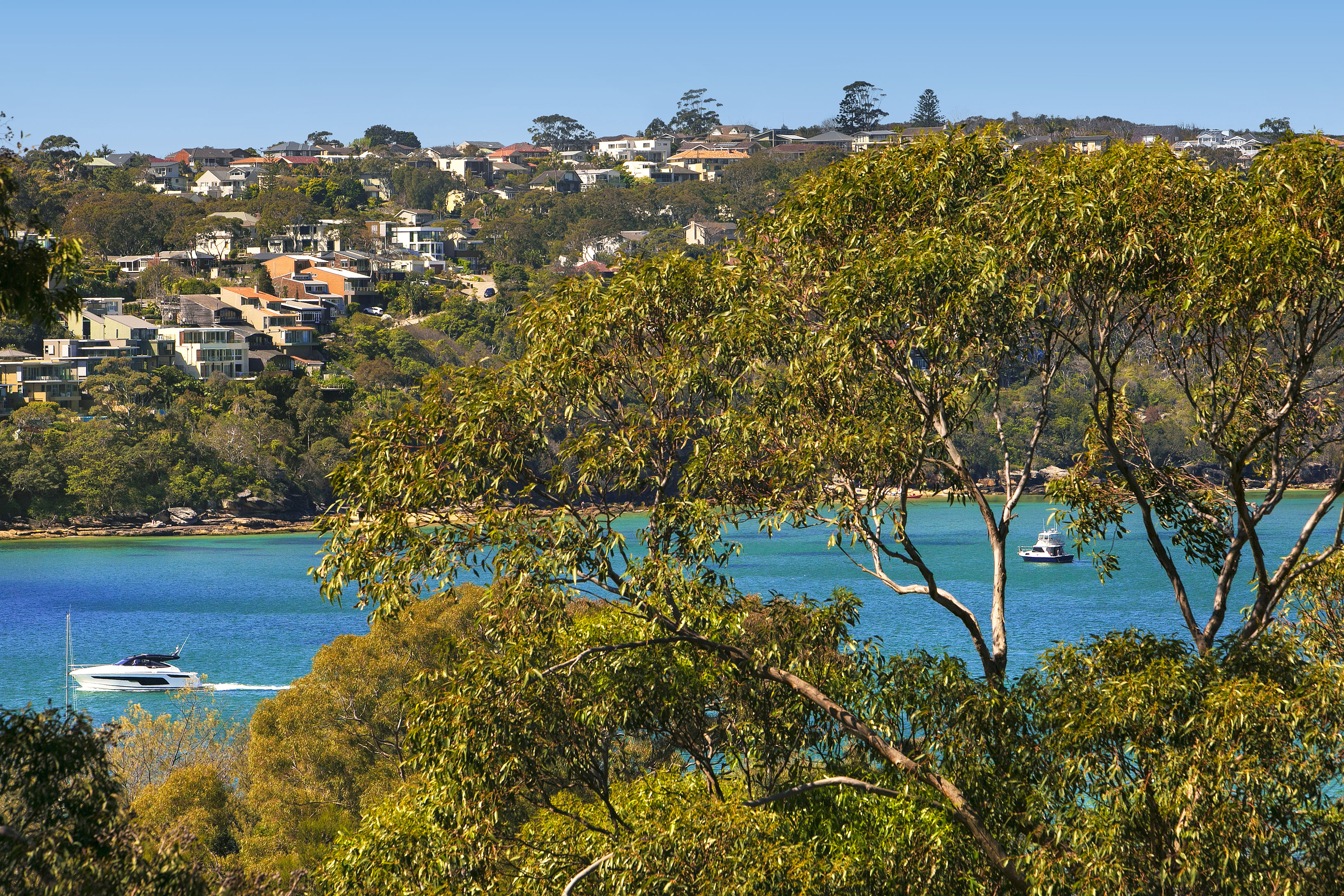 Real Estate For Lease Mosman NSW