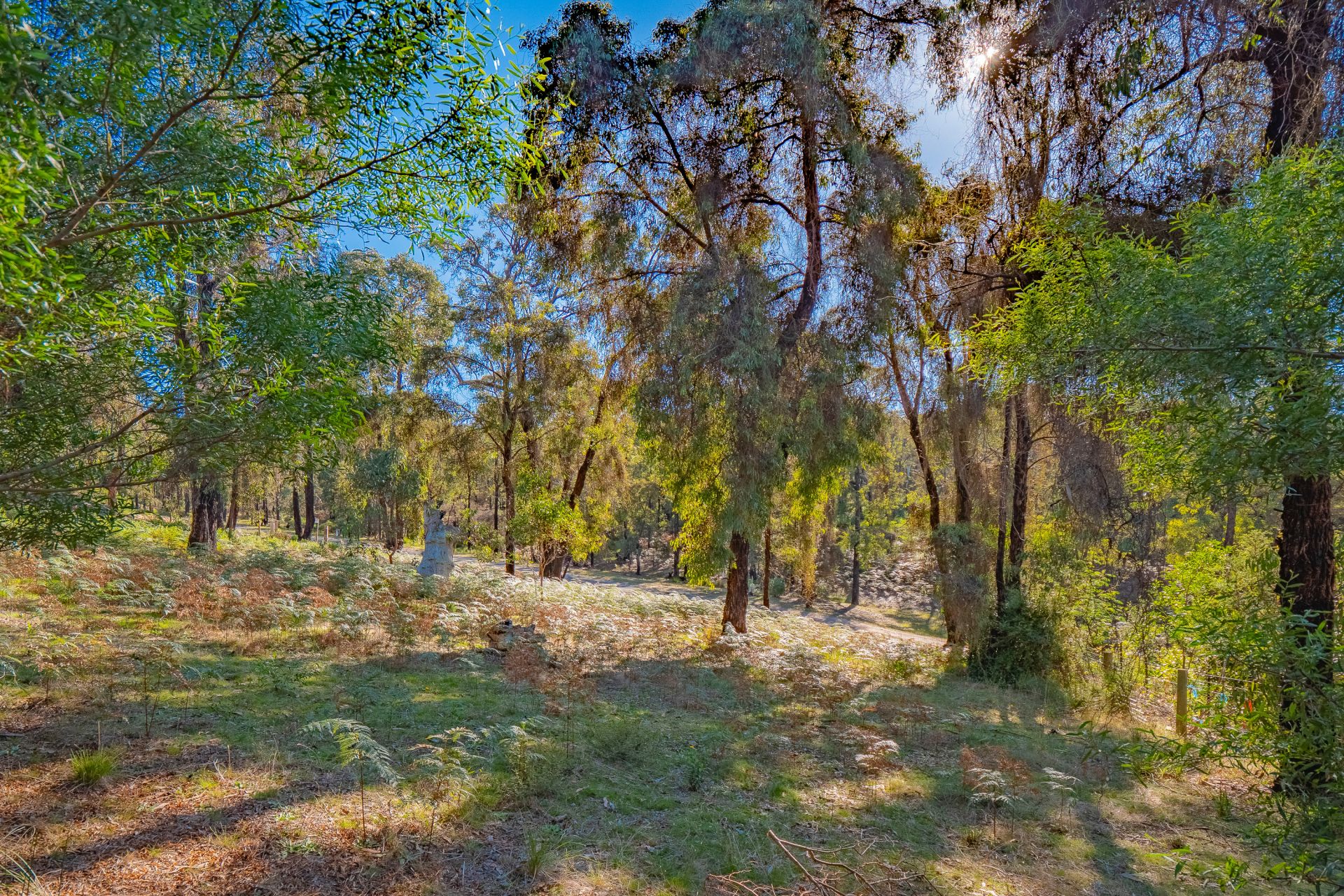 19 Narani Way, Fairhaven - Thumbnail 3