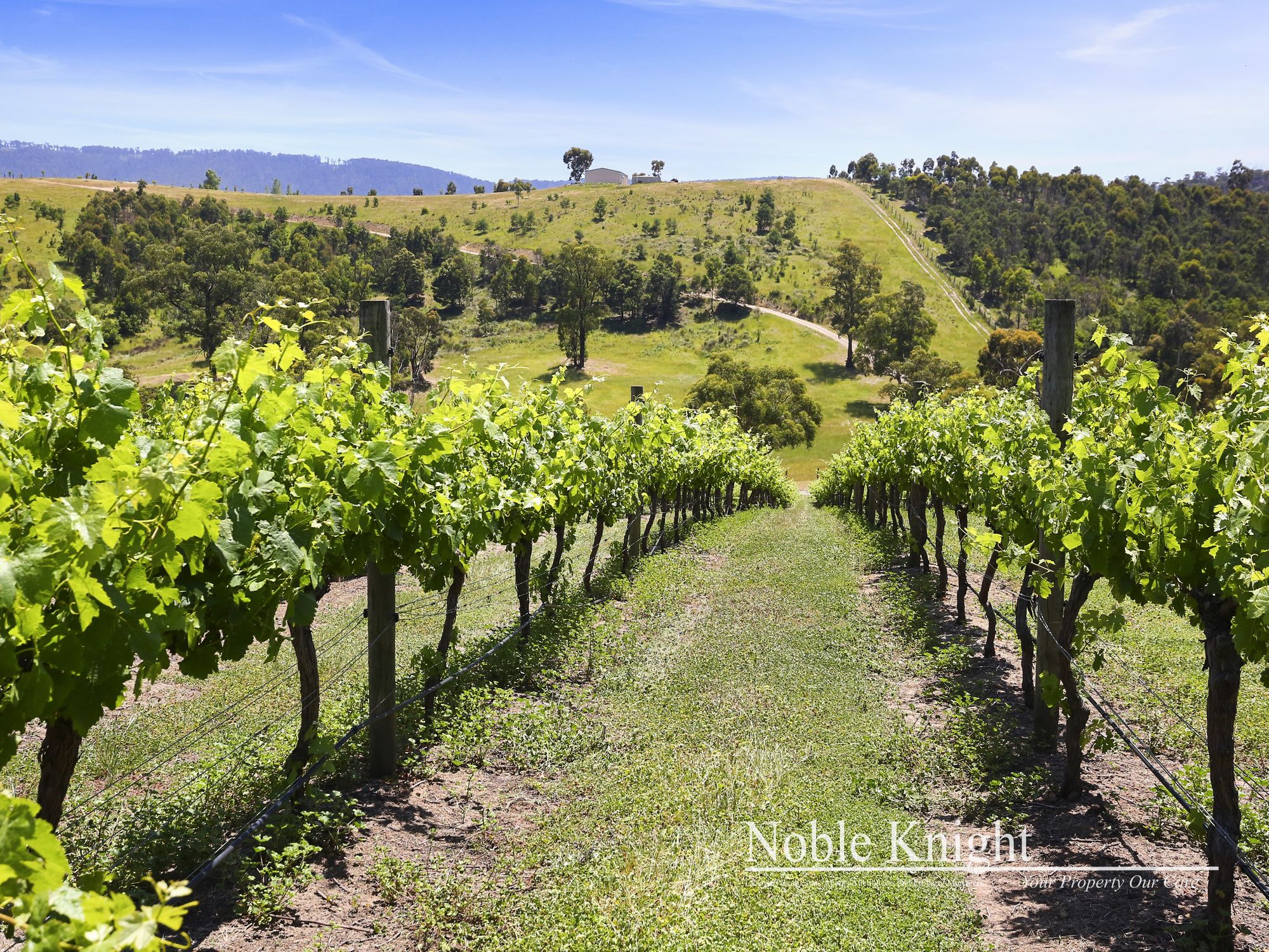 169 Hunts Lane Steels Creek